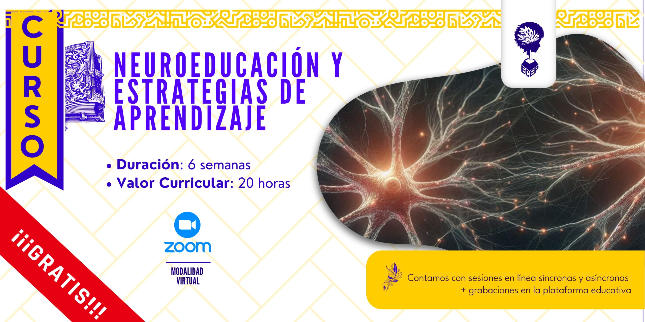 Portada Curso Neuroeducación